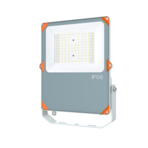 LED FLOOD LIGHT