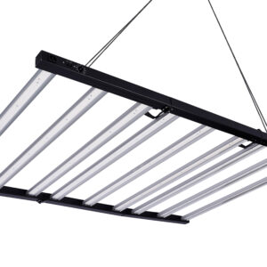 NL-GROW LIGHT